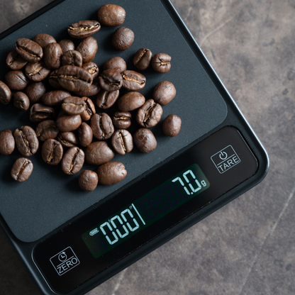 Eureka Digital Weighing Scale Precisa